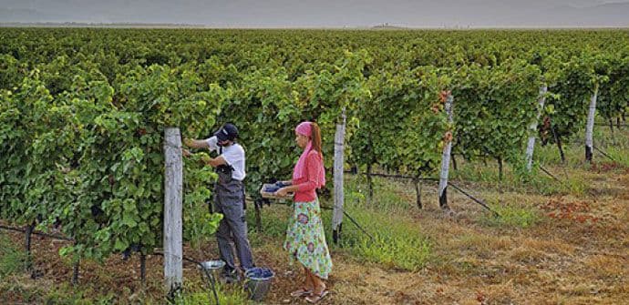 Berbu napustilo 150 radnika Berbu napustilo 150 radnika