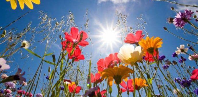 Sjutra sunčano i toplo, do 32 stepena Sjutra sunčano i toplo, do 32 stepena