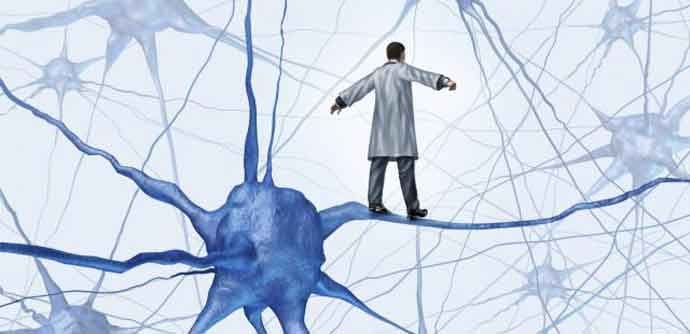 Karika koja nedostaje - veza mozga i imunološkog sistema Karika koja nedostaje - veza mozga i imunološkog sistema