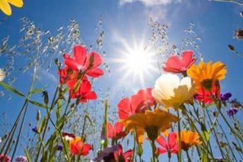 I sjutra sunčano, do 27 stepeni I sjutra sunčano, do 27 stepeni