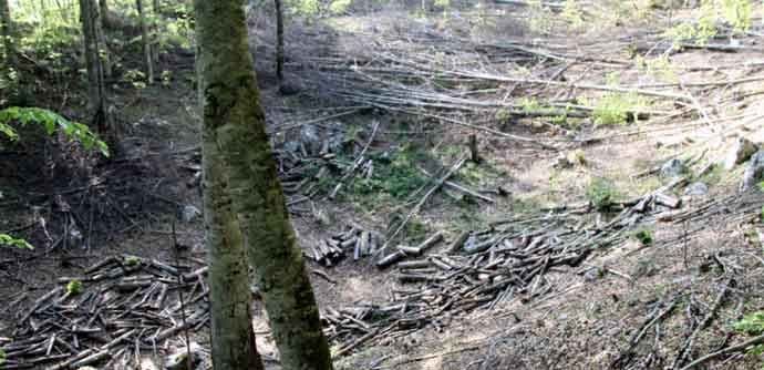Ukinut stečaj u Javorku Ukinut stečaj u Javorku
