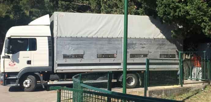 Neindetifikovane krave iz Sutomora odvedene u klanicu Neindetifikovane krave iz Sutomora odvedene u klanicu