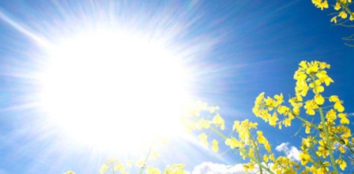 Sjutra sunčano, do 31 stepen Sjutra sunčano, do 31 stepen