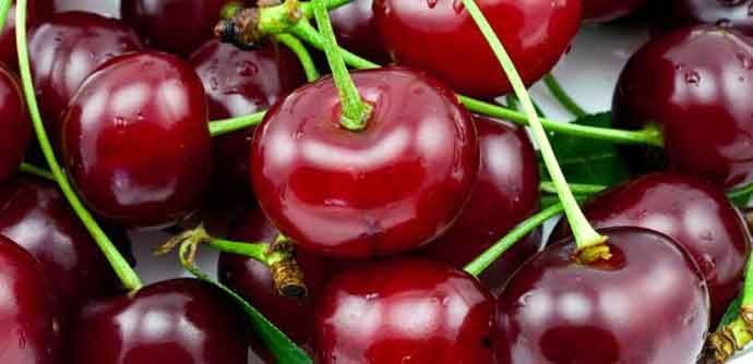 Višnje umjesto brufena, sjemenke umjesto kafetina Višnje umjesto brufena, sjemenke umjesto kafetina