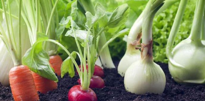 Francuska zabranjuje Monsantov herbicid Francuska zabranjuje Monsantov herbicid