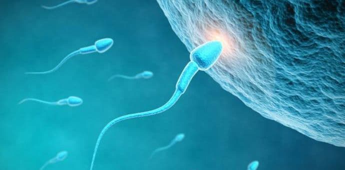 Ljeto je najbolje vrijeme za začeće Ljeto je najbolje vrijeme za začeće