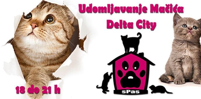NVO „sPas“ organizuje sjutra udomljavanje mačića u Delti NVO „sPas“ organizuje sjutra udomljavanje mačića u Delti