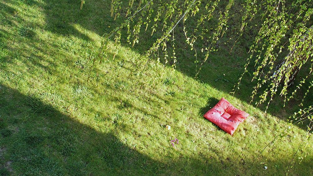 Vladimir Gligorov : Nacionalna gramzivost i individualna sreća Vladimir Gligorov : Nacionalna gramzivost i individualna sreća