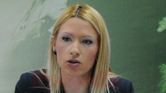 VOJINOVIĆ: Iskoristiti značajan hidropotencijal VOJINOVIĆ: Iskoristiti značajan hidropotencijal