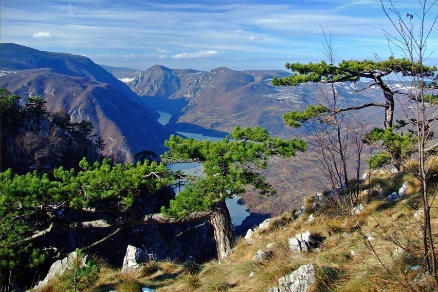 Nestao muškarac na Tari, potraga u toku Nestao muškarac na Tari, potraga u toku