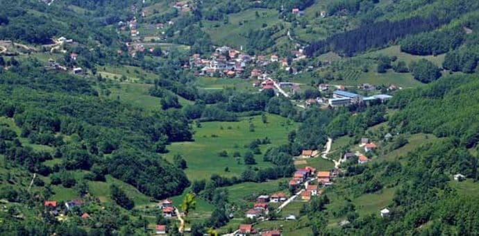 Vatra progutala više od 7.000 stabala Vatra progutala više od 7.000 stabala