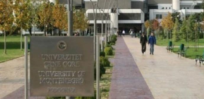 Viši sud: Radulović nezakonito smijenjen Viši sud: Radulović nezakonito smijenjen