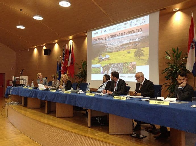 Vlahović: Regionalne inicijative za brži put ka Evropi Vlahović: Regionalne inicijative za brži put ka Evropi