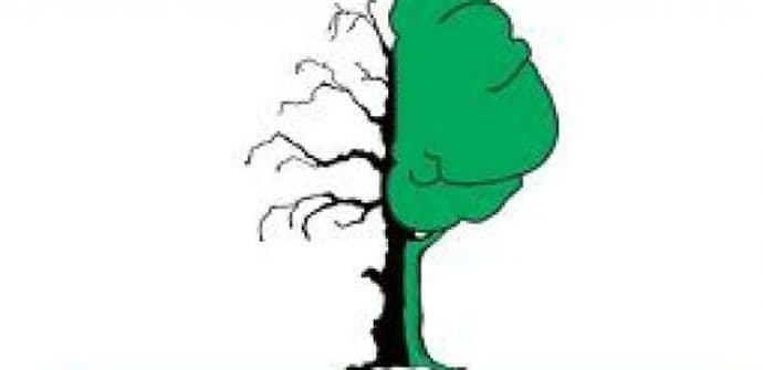 Preporod raspisao konkurs za Nagradu anti dop ambasador Preporod raspisao konkurs za Nagradu anti dop ambasador