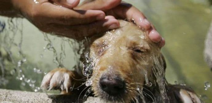 Sjutra veoma toplo, temperatura do 35 stepeni Sjutra veoma toplo, temperatura do 35 stepeni