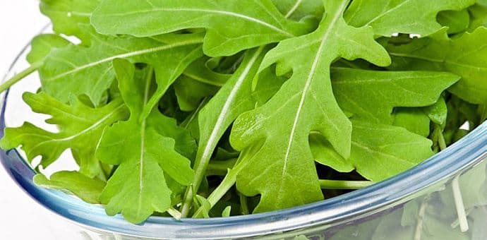 Rukola je odlična salata i prirodan lijek Rukola je odlična salata i prirodan lijek