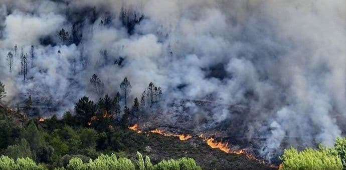 Stravičan požar u Španiji: Evakuisano 1.350 ljudi, uništeno 2.500 hektara šume Stravičan požar u Španiji: Evakuisano 1.350 ljudi, uništeno 2.500 hektara šume