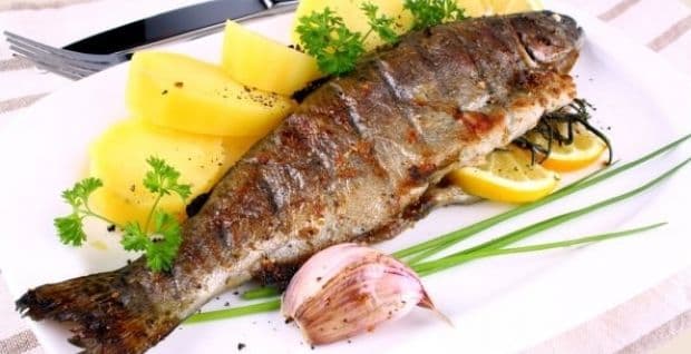 Dani pastrmke u Pivi za vikend Dani pastrmke u Pivi za vikend