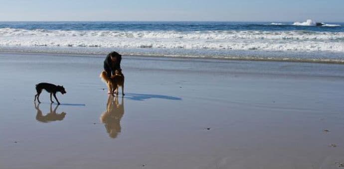 Savjeti kako da zaštitite ljubimca od sunca Savjeti kako da zaštitite ljubimca od sunca