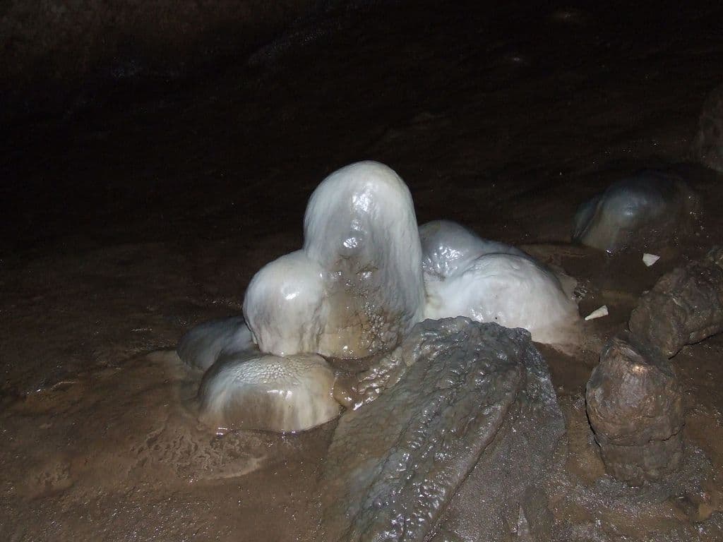 Lipska pećina obogatila turističku ponudu Cetinja    Lipska pećina obogatila turističku ponudu Cetinja