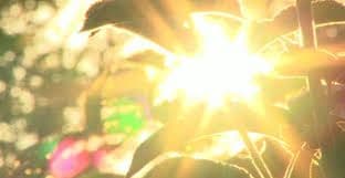 Sjutra do 39 stepeni   Sjutra do 39 stepeni