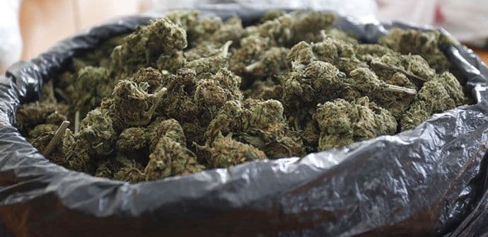 Zaplijenjeno šest tona hašiša u Italiji Zaplijenjeno šest tona hašiša u Italiji