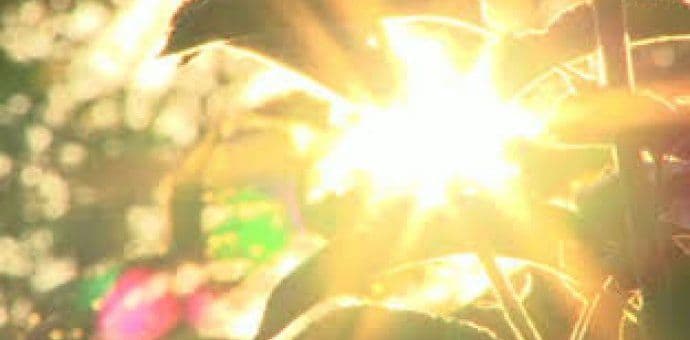 Sjutra sunčano i veoma toplo, do 39 stepeni Sjutra sunčano i veoma toplo, do 39 stepeni