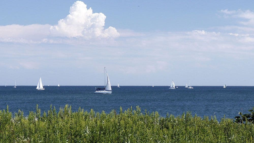 Vladimir Gligorov: Dugovi Vladimir Gligorov: Dugovi