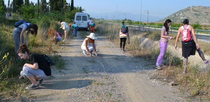 Održana akcija uklanjanja ambrozije Održana akcija uklanjanja ambrozije