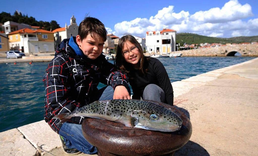 KOMENTAR: Opasna riba koja ubija konje i junake KOMENTAR: Opasna riba koja ubija konje i junake