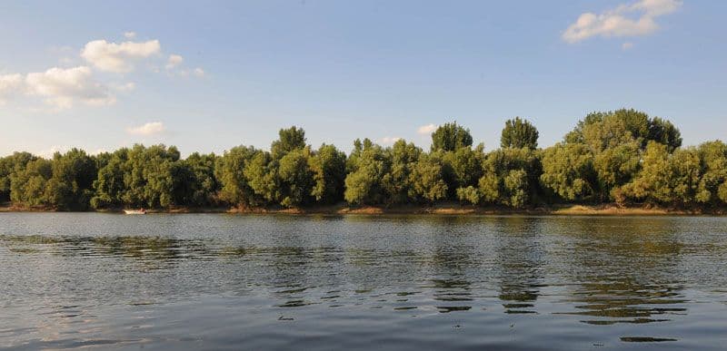 Udavilo se troje djece u Tisi Udavilo se troje djece u Tisi