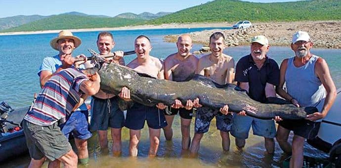 Bilećko jezero: Upecan som duži od dva metra Bilećko jezero: Upecan som duži od dva metra