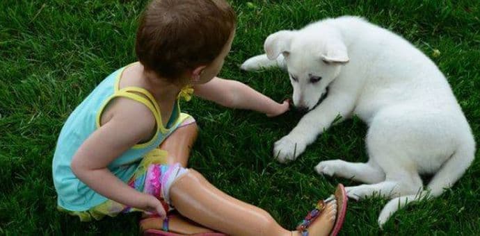 Djevojčica bez nogu udomila štene bez šape Djevojčica bez nogu udomila štene bez šape