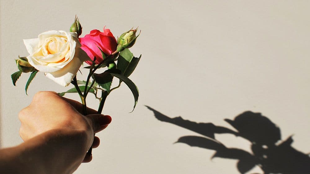 Branka Prpa: Poricanje i revizija istorije Branka Prpa: Poricanje i revizija istorije