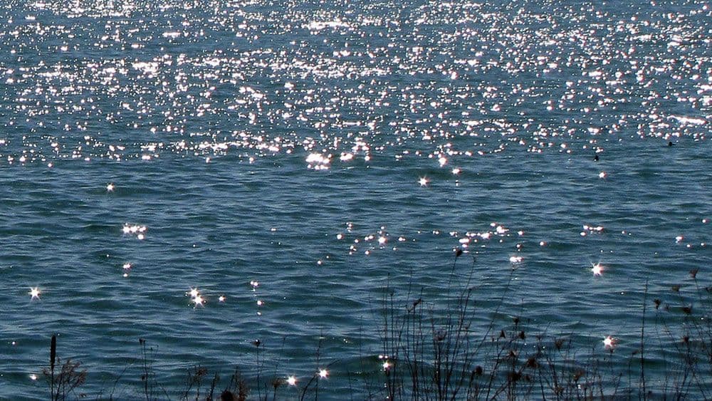 Žena osuđena zbog posta na Facebooku Žena osuđena zbog posta na Facebooku