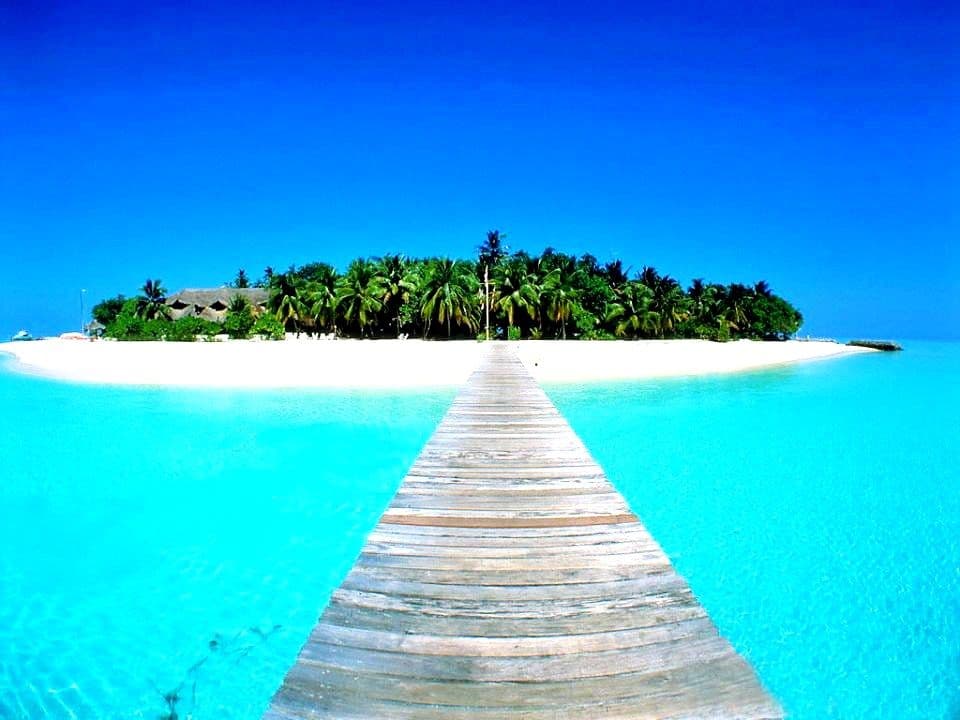 GALAPAGOS: Najbolje ostrvo na svijetu GALAPAGOS: Najbolje ostrvo na svijetu