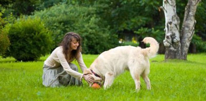 Kako život pored drveća utiče na zdravlje Kako život pored drveća utiče na zdravlje