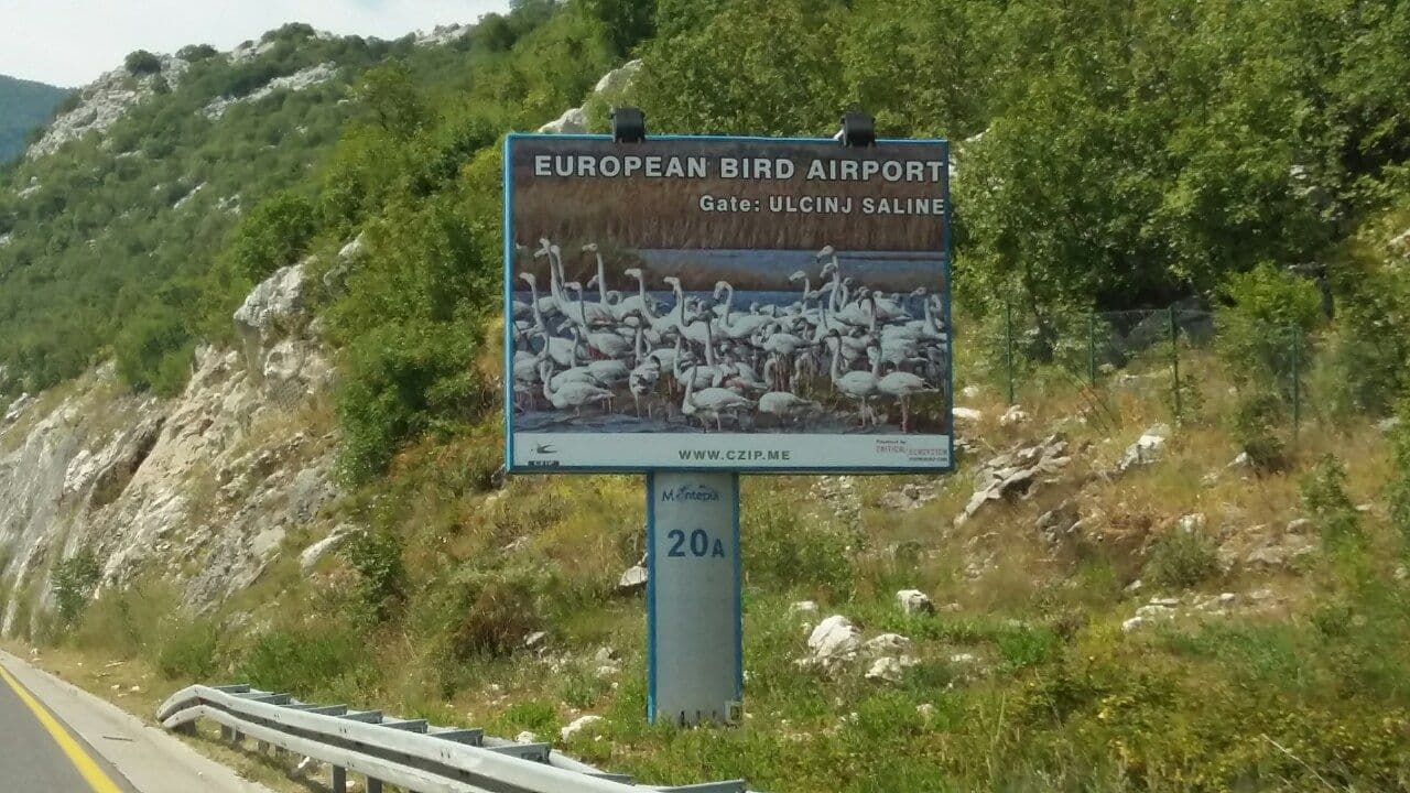 Aktivaciju pumpe Đerane pozdravile brojne organizacije za zaštitu prirode Aktivaciju pumpe Đerane pozdravile brojne organizacije za zaštitu prirode