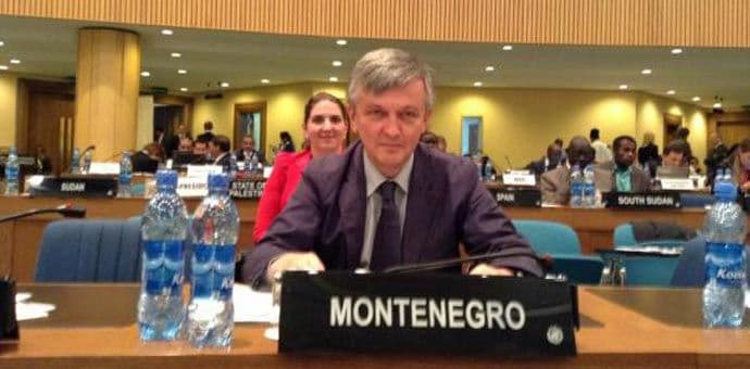 ŠĆEPANOVIĆ: Mobilisati naplatu poreza i spriječiti ilegalne finansijske tokove ŠĆEPANOVIĆ: Mobilisati naplatu poreza i spriječiti ilegalne finansijske tokove