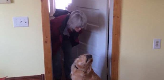 Pogledajte kako ovaj pas iskusno odbija poljubac Pogledajte kako ovaj pas iskusno odbija poljubac