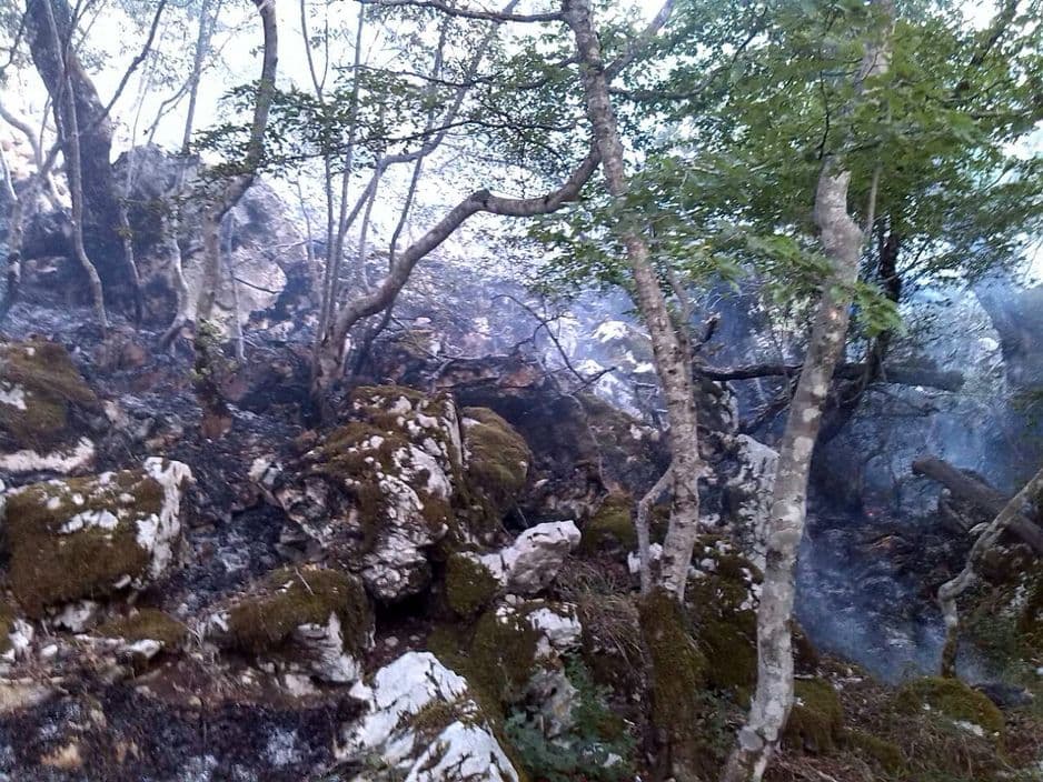 Vjetar razbuktava vatru kod Trebinja, traži se pomoć Vjetar razbuktava vatru kod Trebinja, traži se pomoć