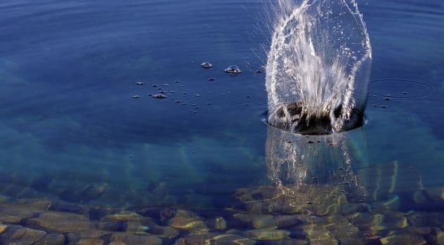 Medvjed se rashlađivao u Ohridskom jezeru Medvjed se rashlađivao u Ohridskom jezeru