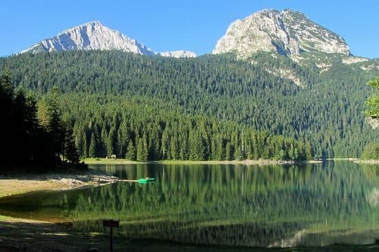 Održan prvi donatorski bazar prehrambenih proizvoda Održan prvi donatorski bazar prehrambenih proizvoda