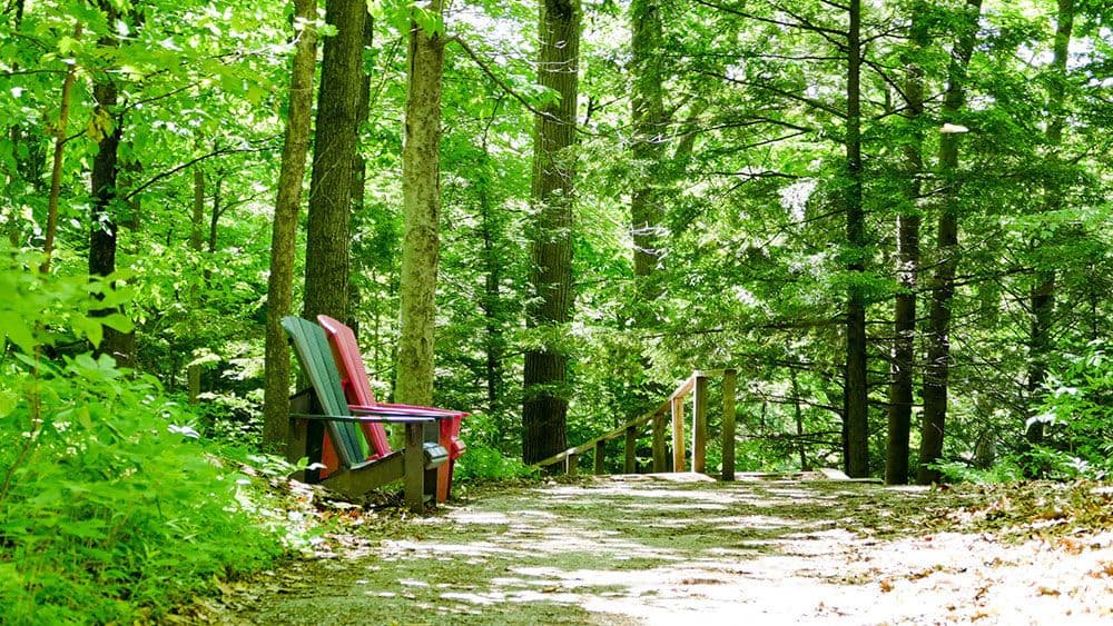 Viktor Ivančić : Merčepova smrt Viktor Ivančić : Merčepova smrt