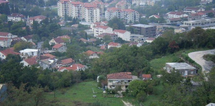 Saša Petrović nije preživio ranjavanje Saša Petrović nije preživio ranjavanje