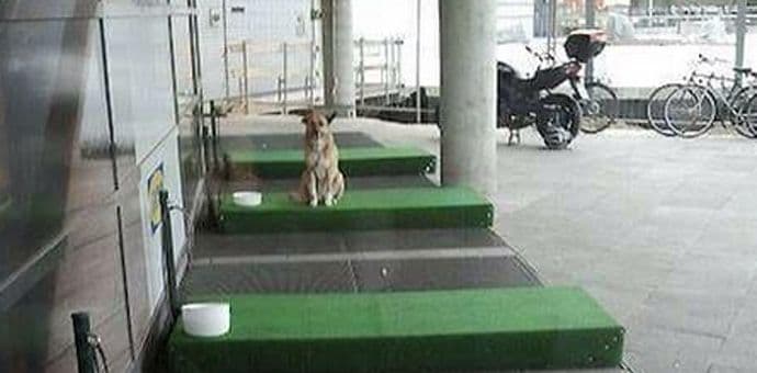 IKEA napravila "parking mjesta" za pse IKEA napravila "parking mjesta" za pse