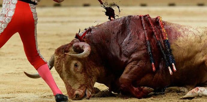 BOLANOS: Radije ćemo školovati decu, nego ubijati bikove BOLANOS: Radije ćemo školovati decu, nego ubijati bikove