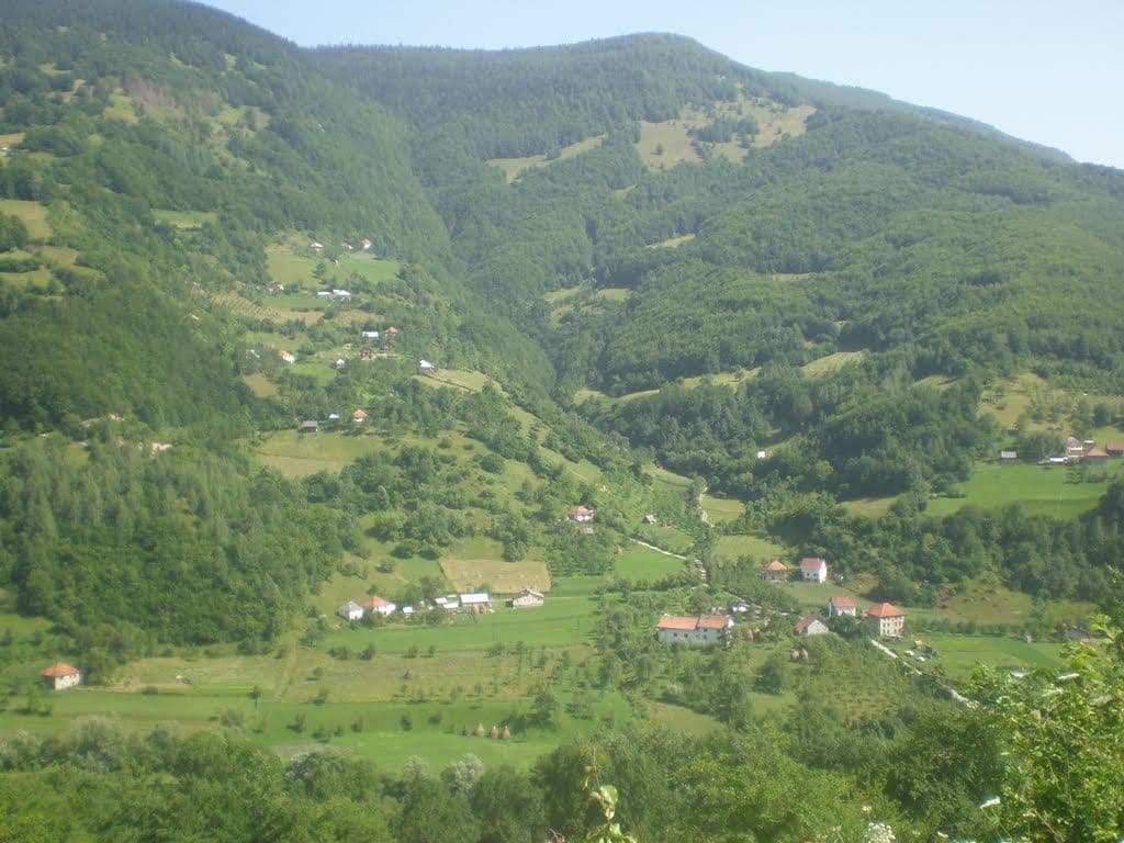 ĆOSOVIĆ JOKIĆU: Da li su dvije SS divizije učestvovale u pokolju u Velici? ĆOSOVIĆ JOKIĆU: Da li su dvije SS divizije učestvovale u pokolju u Velici?