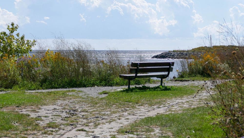 Svetlana Slapšak: Šala koja ubija Svetlana Slapšak: Šala koja ubija