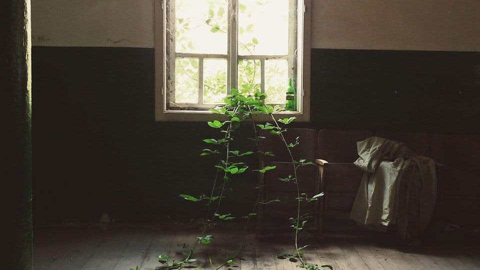 The New Yorker: Kvadrat The New Yorker: Kvadrat